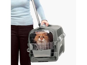 Cat It CA Cabrio - Transportbox - Boveningang en, Verzenden, Nieuw