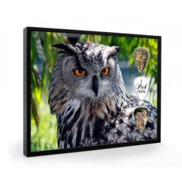 Uil plectrumdisplay, Ophalen of Verzenden, Nieuw, Vogel, Overige typen