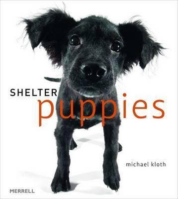 Shelter Puppies 9781858945606 Michael Kloth, Verzenden, Zo goed als nieuw, Michael Kloth