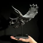GEEN VEILINGKOSTEN - Replica van een Triceratops-dinosaurus, Antiek en Kunst