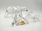Swarovski - Beeldje - SCS - Annual Edition 2011 - Siku Polar