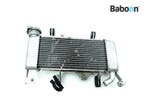Radiateur Yamaha YZF R 125 2021-2022 (YZF-R125), Motoren, Onderdelen | Yamaha, Verzenden, Gebruikt