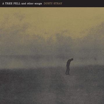 lp nieuw - Dusty Stray - A tree fell and other songs, Verzenden, Zo goed als nieuw, Overige formaten