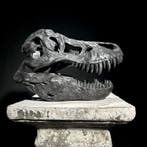 GEEN RESERVEPRIJS - Een replica van een dinosaurus-schedel -, Antiek en Kunst