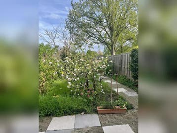 Te huur: Huis Hunthum in Loenen aan de Vecht, Utrecht, Loenen aan de Vecht