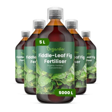 Vioolbladplant Vloeibare meststof - 5x1 liter, Verzenden, Mest