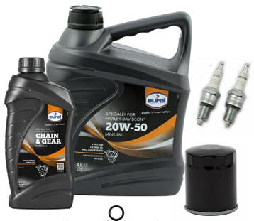 Onderhoudskit Groot H-D Sportster XL883/1200 86-21, Motoren, Onderdelen | Harley-Davidson, Nieuw