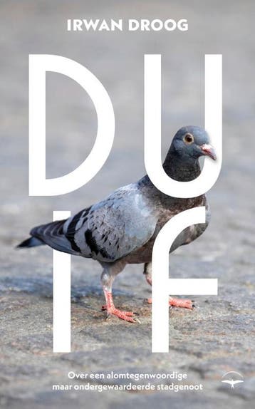 Duif | Irwan Droog | Nieuw, Ophalen of Verzenden, Nieuw, Irwan Droog