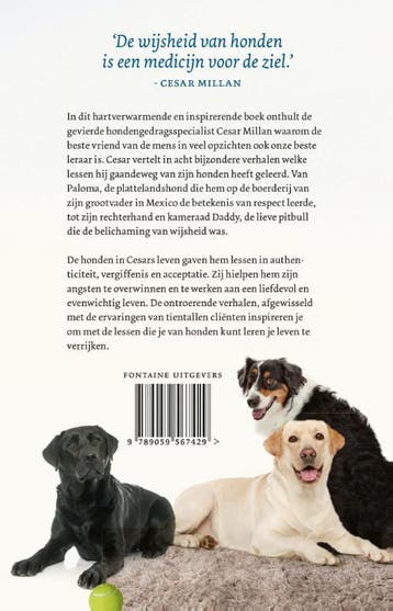 Wat honden ons leren 9789059567429 Cesar Millan, Verzenden, Gelezen, Cesar Millan