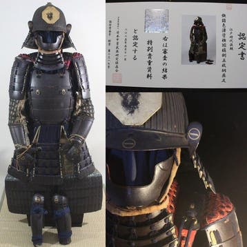 Harnas - Japan - Y1-165 Tetsu Sabinuri Gomai Do gusoku met