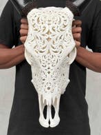 GEEN RESERVEPRIJS - Witte, met de hand gesneden koe schedel