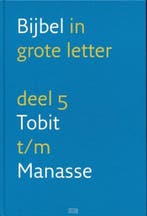 NBV GROTE LETTER DEEL 5 9789061269656, Boeken, Verzenden, Zo goed als nieuw