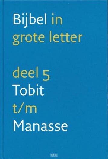 NBV GROTE LETTER DEEL 5 9789061269656, Boeken, Verzenden, Zo goed als nieuw