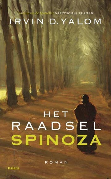Het raadsel Spinoza - Irvin D. Yalom 9789460033742, Boeken, Verzenden, Gelezen, Irvin D. Yalom