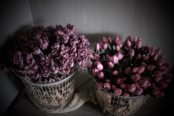 Namaak boeket parkiet Tulpen mauve 40 cm, Ophalen of Verzenden, Nieuw