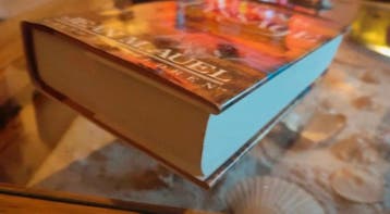 Jean M. Aeul - the plains of the passage - first edition, Boeken, Gelezen, Jean M. Aeul