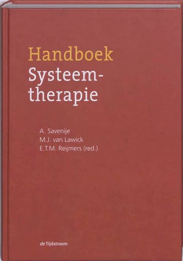 Handboek Systeemtherapie, 9789058981417, Boeken, Verzenden, Zo goed als nieuw, HBO