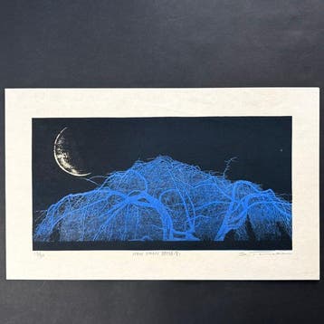 NEW MOON Jusho (Ao) - Tanaka Yoshikazu - Japan