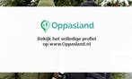 Esther zoekt een oppas in Soest voor 2 kinderen.