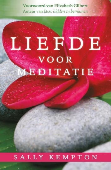 Liefde voor meditatie - Sally Kempton 9789020207897, Verzenden, Zo goed als nieuw, Sally Kempton