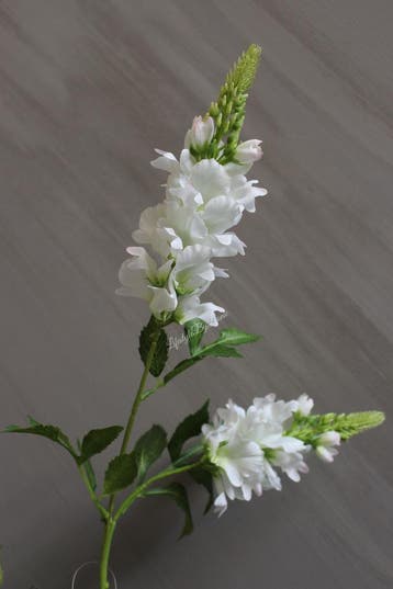 Zijden tak Lupine white 77 cm, Ophalen of Verzenden, Nieuw