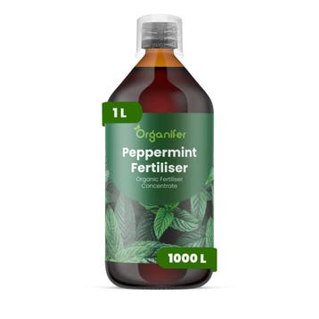 Vloeibare pepermuntmest - 1 liter, Verzenden, Mest