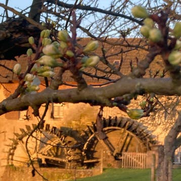 Last-minute 29 mei-5 juni vakantiehuis te huur Zuid Limburg, Eigenaar