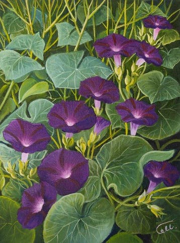 Tatyana Miller (2026) - Morning Glories ()
