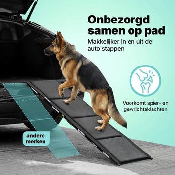 2dekans | Jake en Jacky Hondenloopplank voor Auto -, Ophalen of Verzenden, Zo goed als nieuw