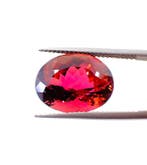 Toermalijn - 9.37 ct - International Gemological Institute, Nieuw
