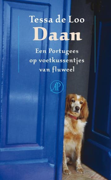 Daan - Tessa de Loo 9789029574143, Verzenden, Gelezen, Tessa de Loo