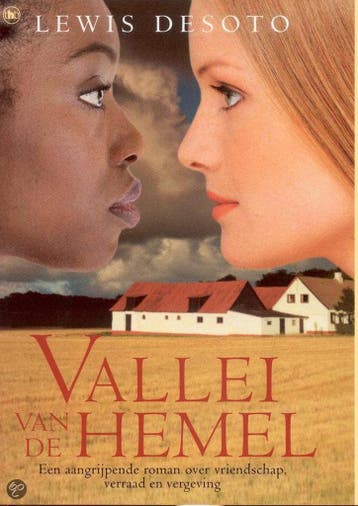 VALLEI VAN DE HEMEL - L. DeSoto 9789044308914, Verzenden, Gelezen, L. DeSoto