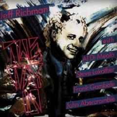 cd - Jeff Richman - The Way In, Cd's en Dvd's, Cd's | Overige Cd's, Zo goed als nieuw, Verzenden