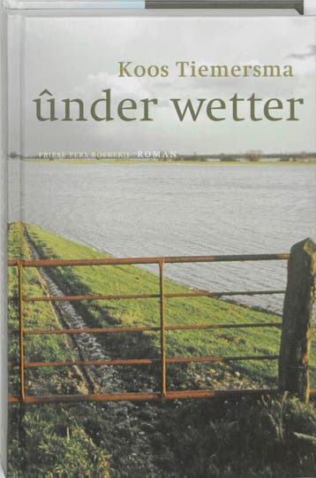 Under wetter - K. Tiemersma 9789033008252, Verzenden, Gelezen, K. Tiemersma