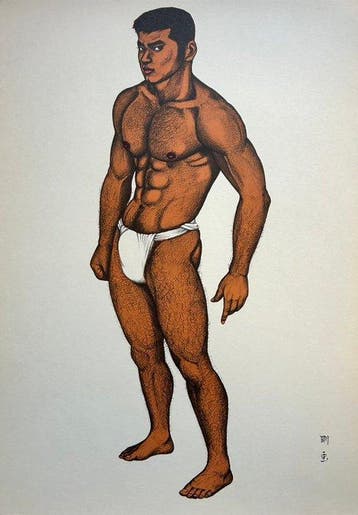 From Mishima G gash Wakamono   (Mishima Go Book