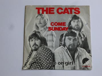 The Cats - Come Sunday (vinyl single), Ophalen of Verzenden, Zo goed als nieuw