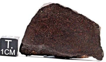NWA 15341 Dit is een van de vier goedgekeurde meteorieten, Verzamelen
