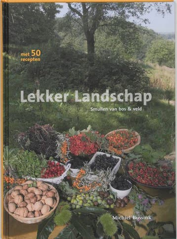 Lekker landschap - Michiel Bussink 9789076661124, Verzenden, Zo goed als nieuw, Michiel Bussink
