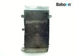 Radiateur Honda FJS 400 | SW T 400 2008-2016 (FJS400 SW, Verzenden, Gebruikt