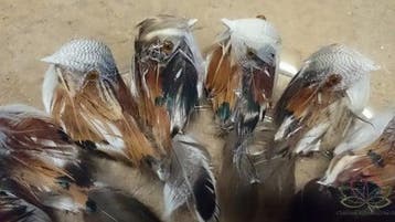 Vogeltjes Donkerbruin natuurlijk 9 cm 16 stuks, Ophalen of Verzenden, Nieuw