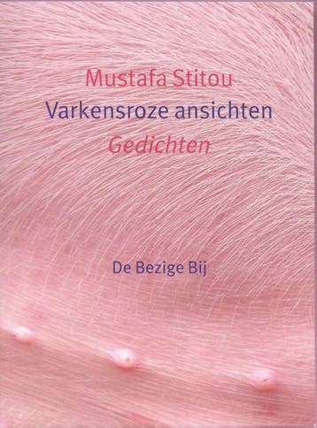 Varkensroze ansichten - Mustafa Stitou 9789023418870, Verzenden, Gelezen, Mustafa Stitou