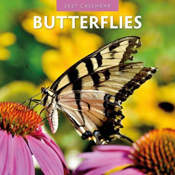 Red Robin Wall Kalender 2027 - Butterflies, Ophalen of Verzenden, Nieuw in verpakking