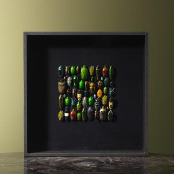 Kevers in Lijst Taxidermie Opgezette Dieren By Max, Ophalen of Verzenden, Nieuw, Insect, Opgezet dier
