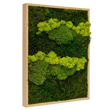 Vintlux Mosschilderij Lappenmos-Rendiermos-Bolmos 30x40 cm, Nieuw