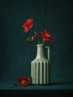 Tessa Posthuma de Boer - Cameila