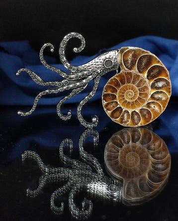 Geen reserveprijs Prachtige ammoniet hanger/broche
