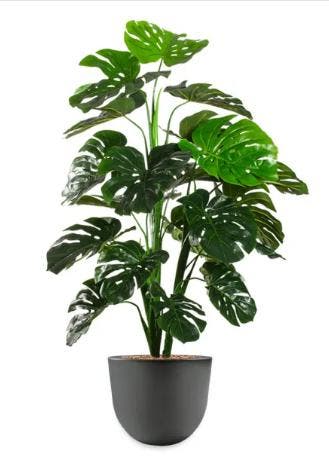 Monstera kunstplant, H130cm, Huis en Inrichting, Ophalen of Verzenden, Overige soorten, 100 tot 150 cm