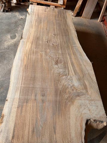 10x Boomstamblad, complete boom 720,- REF 797, Verzenden, Nieuw, 200 tot 250 cm, Plank
