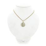 Gouden sterrenbeeld hanger; Waterman (Hanger of bedel), Ophalen of Verzenden, Gebruikt, Goud, Overige merken