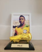 Selección Brasileña Fútbol - Wereldkampioenschap Voetbal -, Nieuw